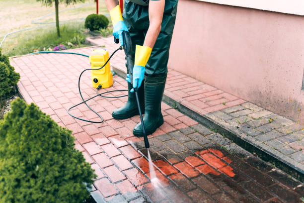 Best Deck Cleaning Services  in Mount Pleasant, MI