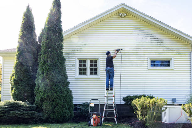  Mount Pleasant, MI Pressure Washing Pros