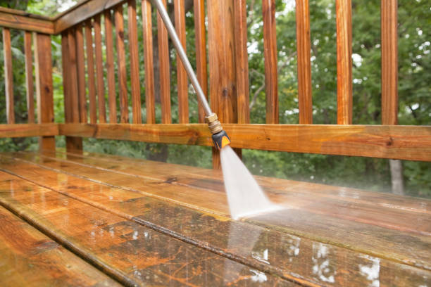 Best Roof Power Washing Services  in Mount Pleasant, MI