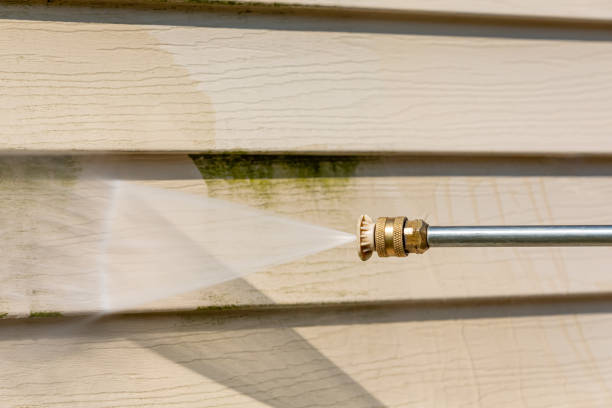 Deck Cleaning Services in Mount Pleasant, MI