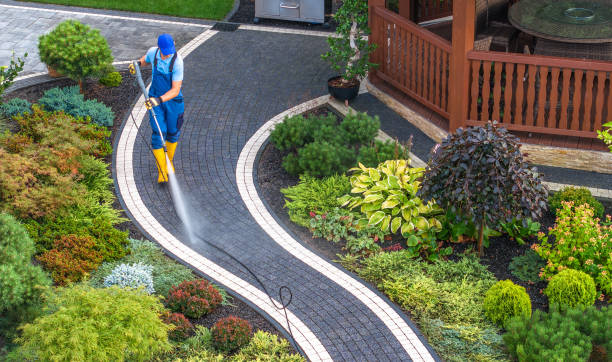 Best House Pressure Washing  in Mount Pleasant, MI