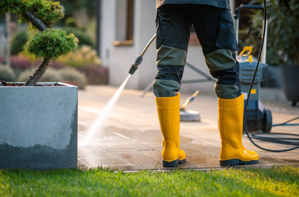 Best Deck Cleaning Services  in Mount Pleasant, MI